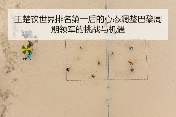 王楚钦世界排名第一后的心态调整巴黎周期领军的挑战与机遇